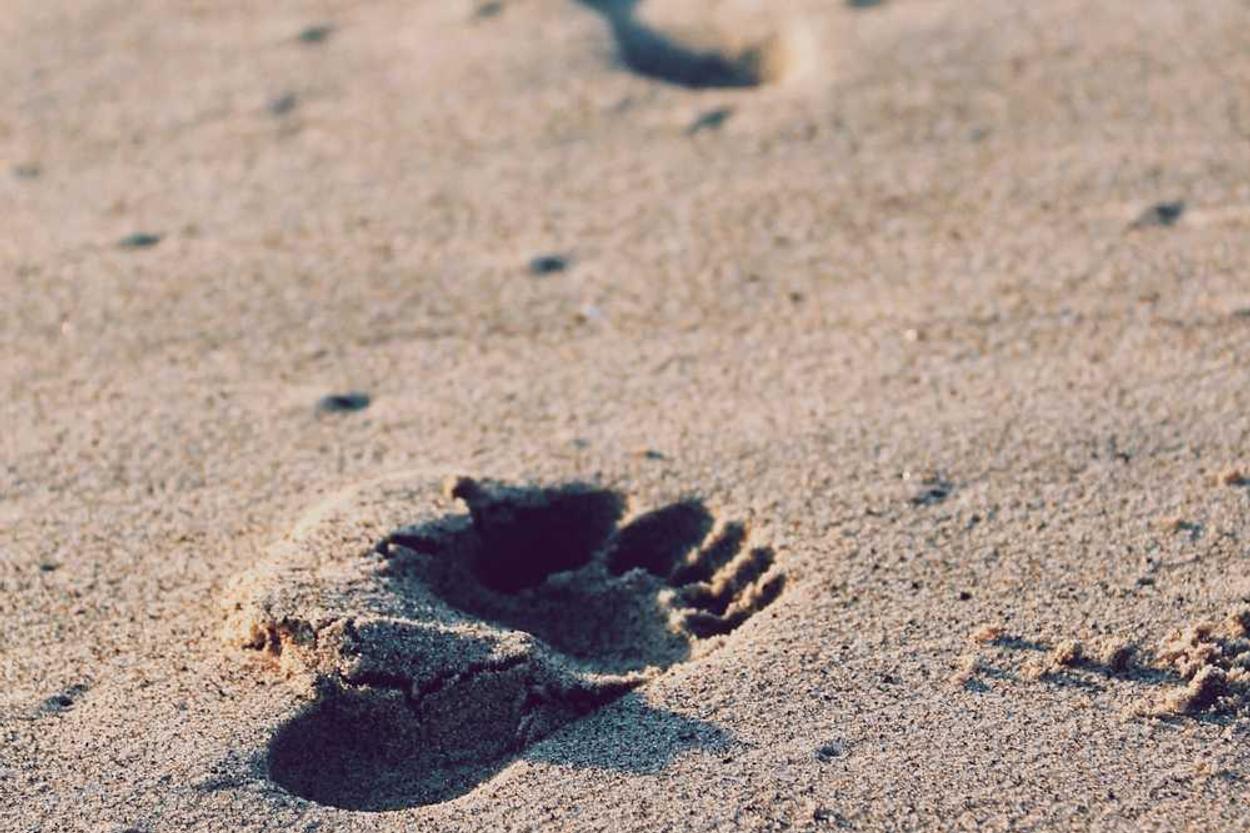 Esse atque accusamus vel accusantium